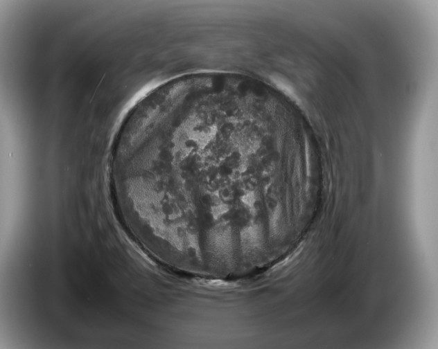 X0000086281463200704122038