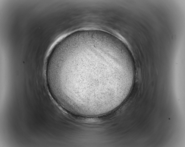 X0000086281464200704122038