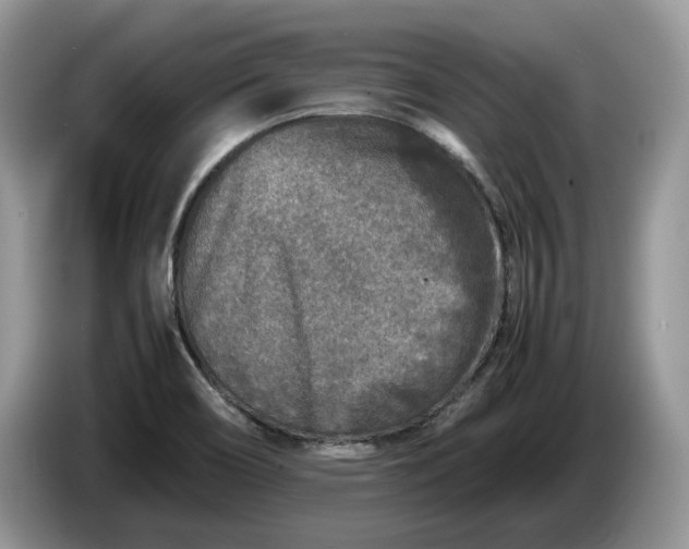 X0000086281466200704122038