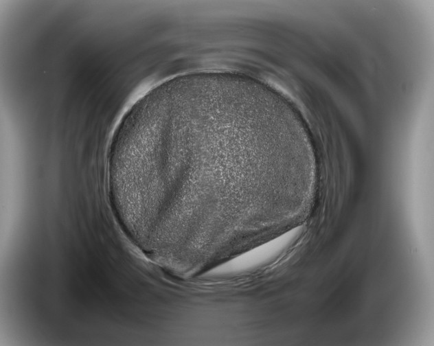 X0000086281467200704122038