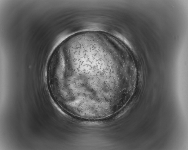 X0000086281468200704122038