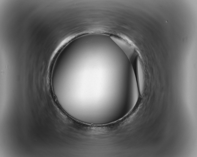 X0000086281469200704122038