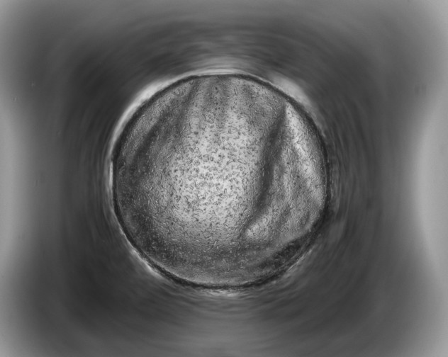 X0000086281472200704122038