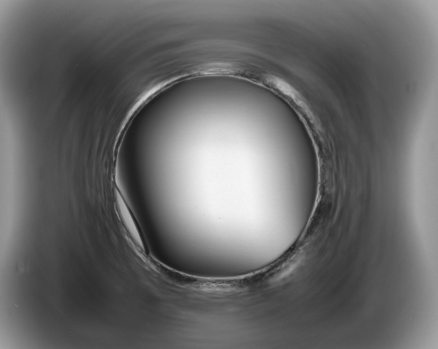 X0000086281473200704122038