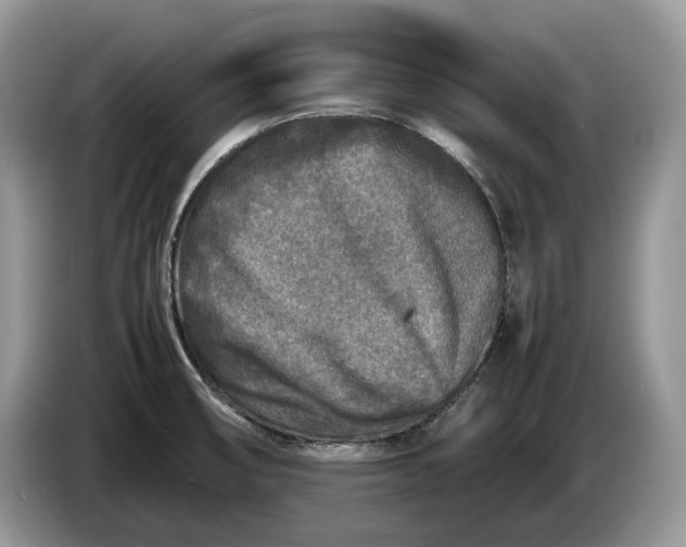 X0000086281474200704122038