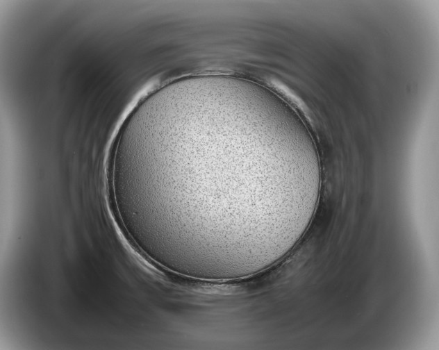 X0000086281475200704122038