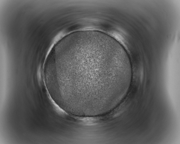 X0000086281476200704122038