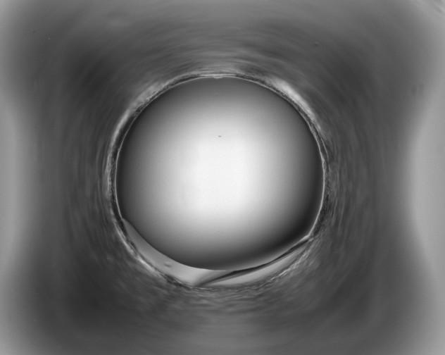 X0000086281477200704122038