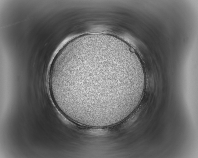 X0000086281478200704122038