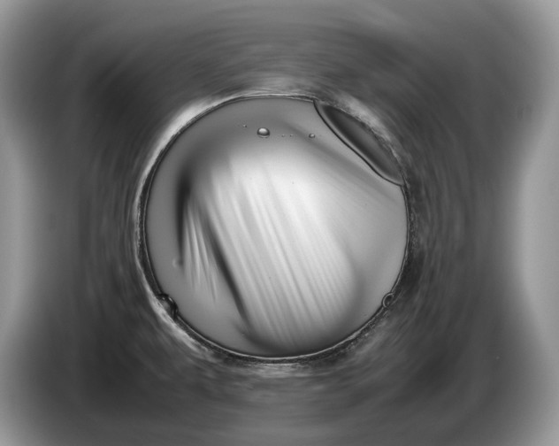 X0000086281479200704122038