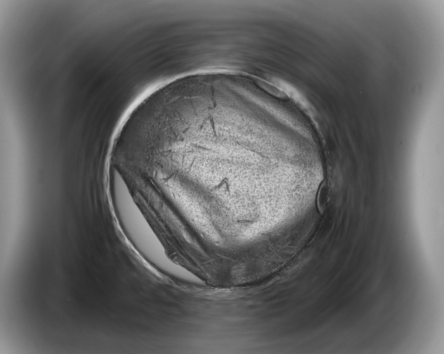 X0000086281480200704122038