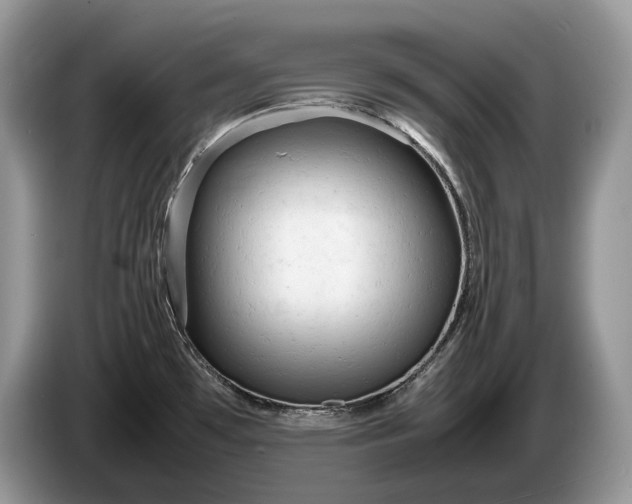 X0000086281481200704122038