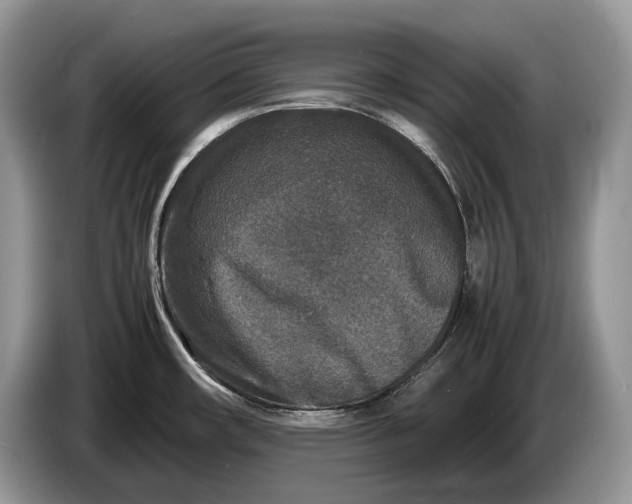 X0000086281482200704122038