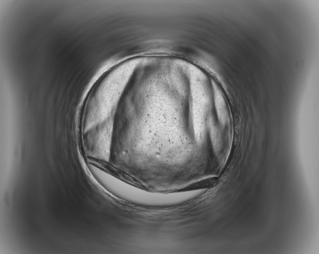 X0000086281483200704122038