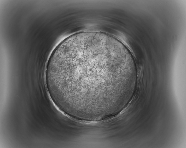 X0000086281484200704122038