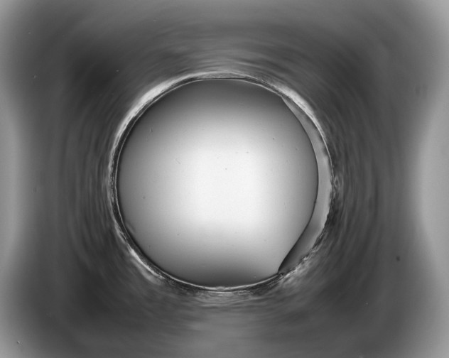 X0000086281485200704122038