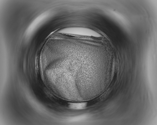 X0000086281487200704122038