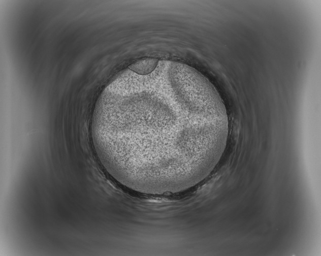 X0000086281489200704122038