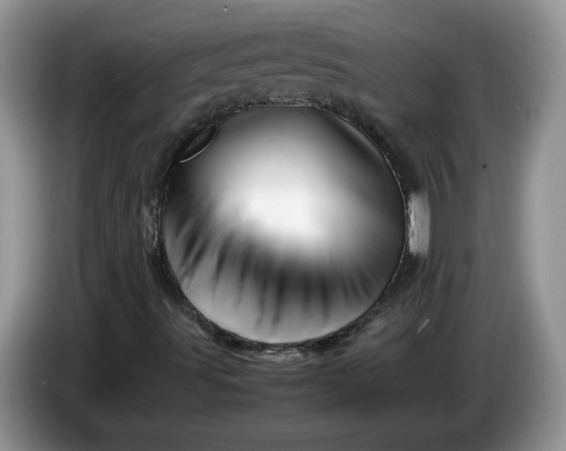 X0000086281491200704122038