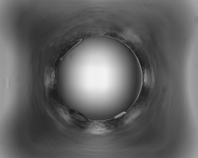 X0000086281492200704122038