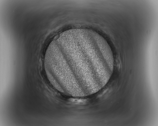 X0000086281493200704122038