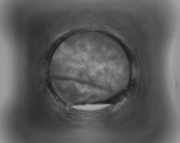 X0000086281494200704122038