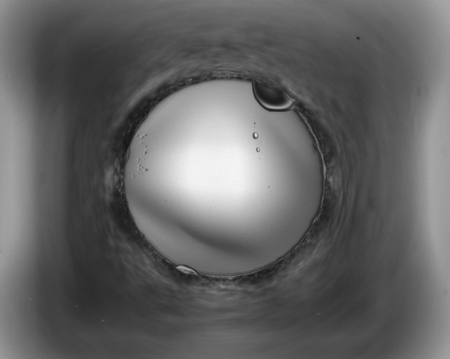 X0000086281495200704122038