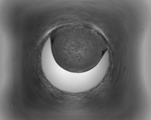 X0000086281496200704122038