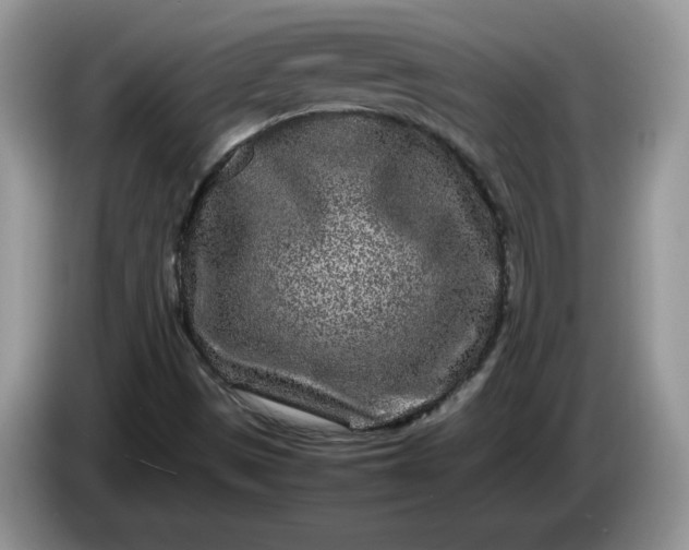 X0000086281497200704122038