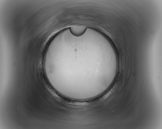 X0000086281498200704122038