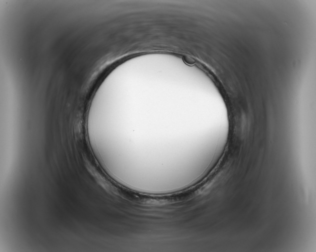 X0000086281499200704122038