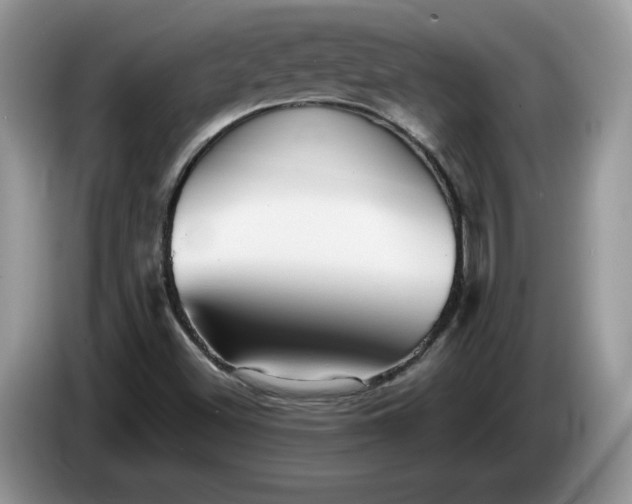 X0000086281500200704122038