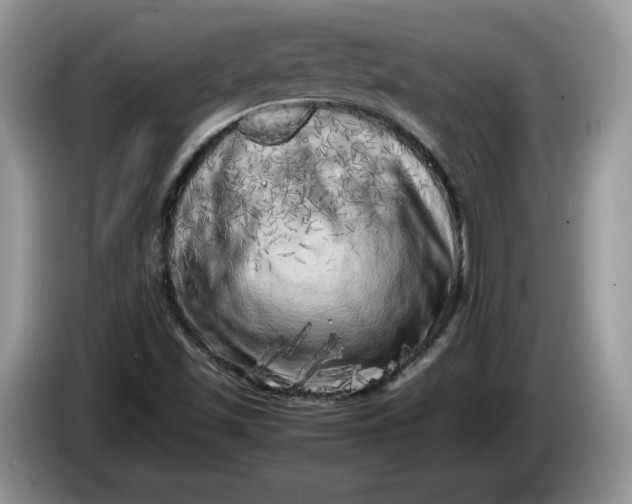 X0000086281501200704122038