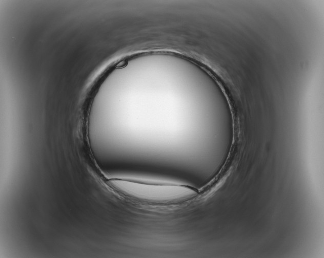 X0000086281502200704122038