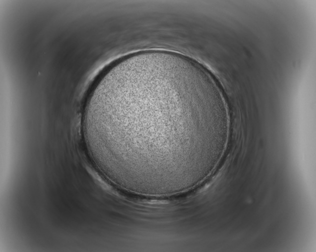 X0000086281503200704122038