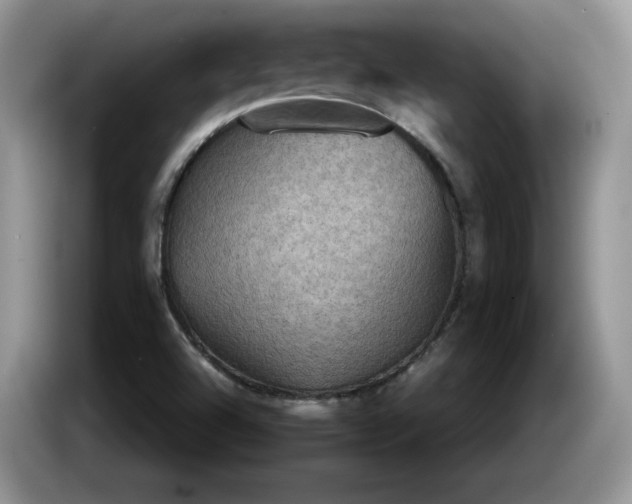 X0000086281504200704122038