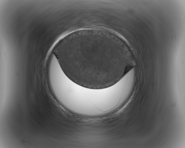 X0000086281506200704122038