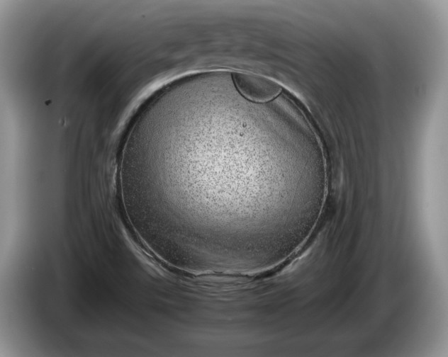 X0000086281507200704122038