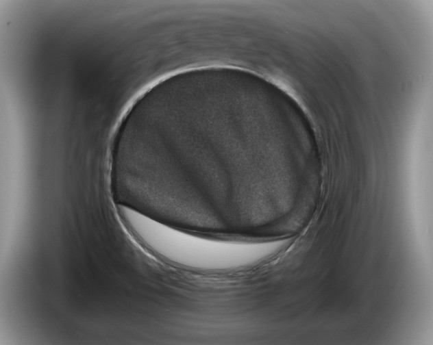 X0000086281508200704122038