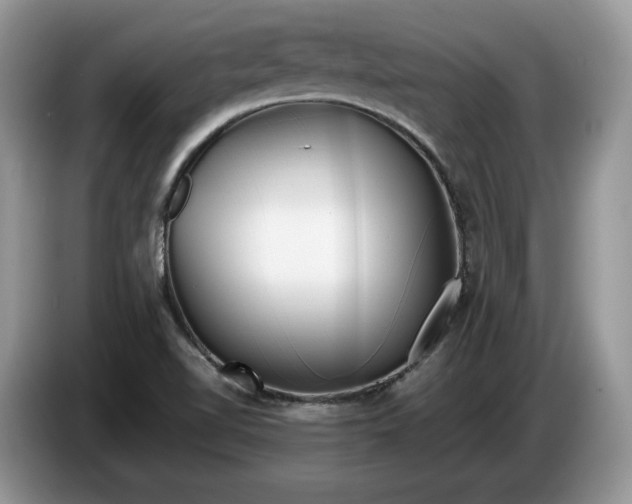 X0000086281510200704122038