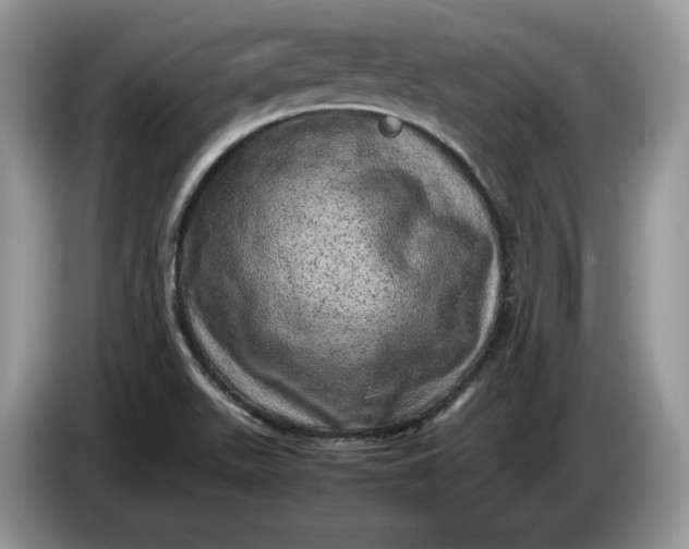 X0000086281511200704122038