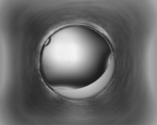 X0000086281512200704122038