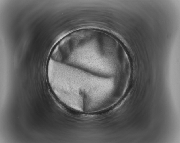 X0000086281513200704122038