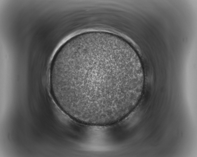 X0000086281514200704122038