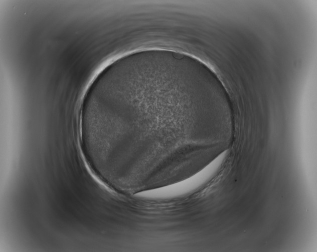 X0000086281515200704122038