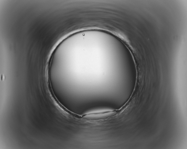 X0000086281516200704122038