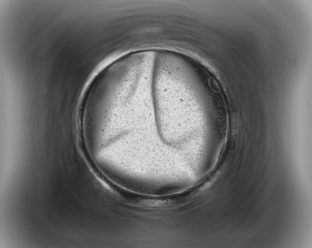 X0000086281517200704122038