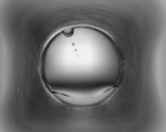 X0000086281518200704122038