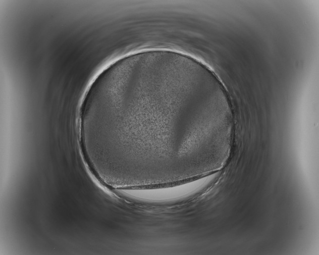 X0000086281519200704122038