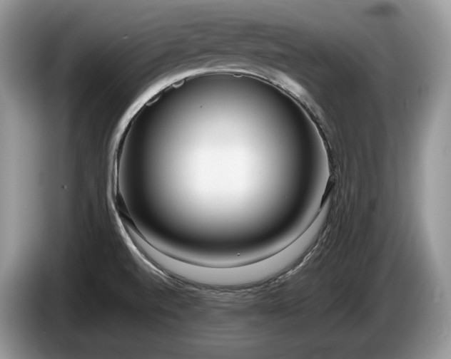 X0000086281520200704122038